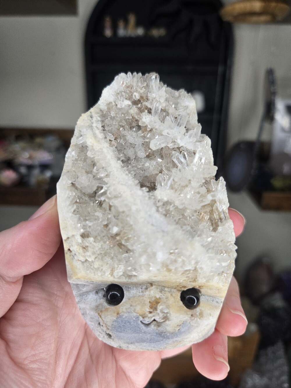 Quartz Geode W/ Caverns Crystal Hedgie Buddy